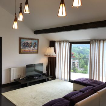 Calea Poienii Penthouse